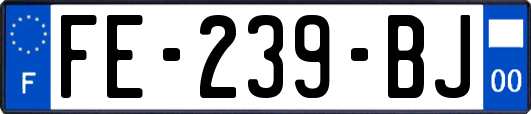FE-239-BJ