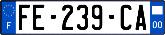 FE-239-CA