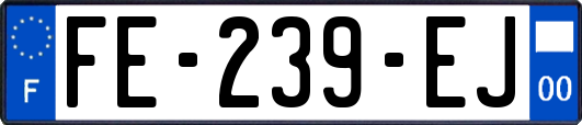 FE-239-EJ