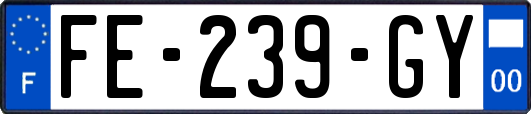 FE-239-GY