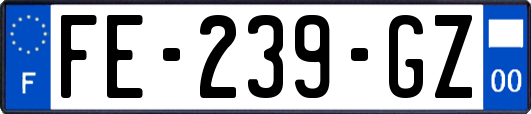 FE-239-GZ