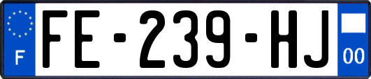 FE-239-HJ