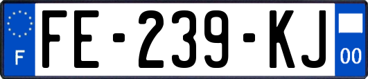 FE-239-KJ