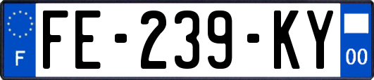 FE-239-KY
