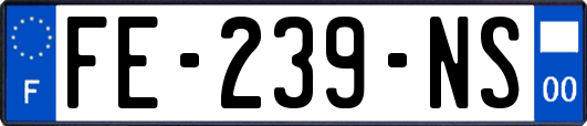 FE-239-NS