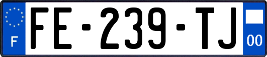 FE-239-TJ