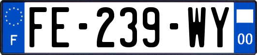 FE-239-WY