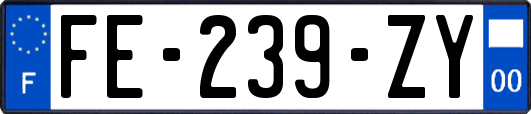 FE-239-ZY