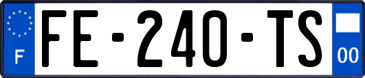 FE-240-TS