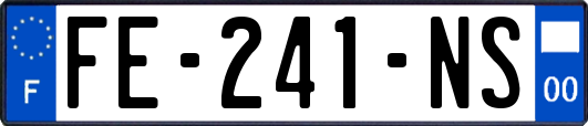 FE-241-NS