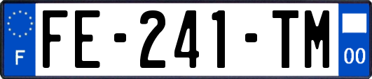 FE-241-TM