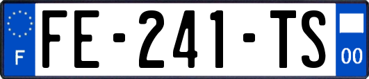 FE-241-TS