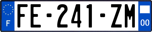 FE-241-ZM