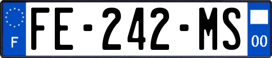 FE-242-MS
