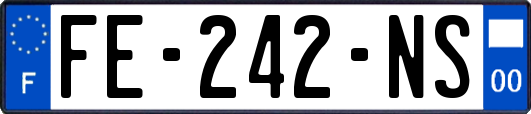 FE-242-NS