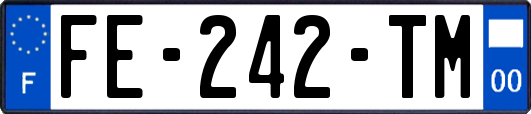 FE-242-TM
