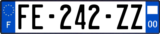 FE-242-ZZ