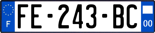 FE-243-BC