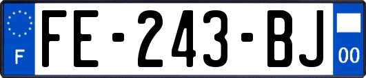 FE-243-BJ