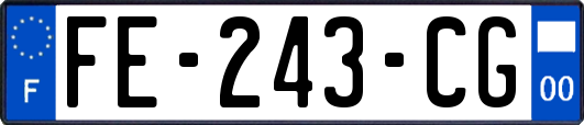 FE-243-CG