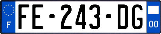 FE-243-DG