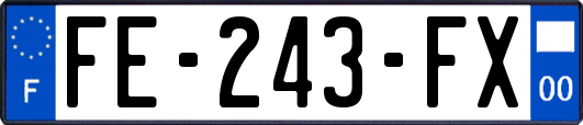 FE-243-FX