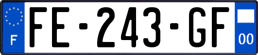 FE-243-GF
