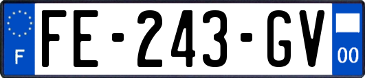 FE-243-GV