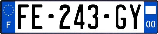 FE-243-GY