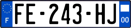 FE-243-HJ