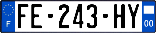 FE-243-HY