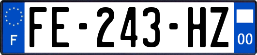 FE-243-HZ