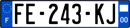 FE-243-KJ