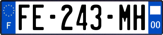 FE-243-MH