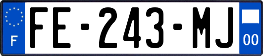 FE-243-MJ