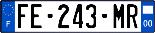 FE-243-MR