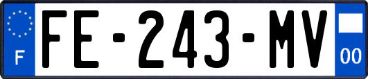 FE-243-MV