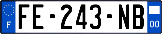 FE-243-NB