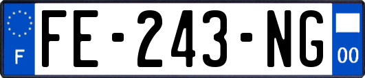 FE-243-NG
