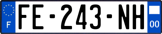 FE-243-NH