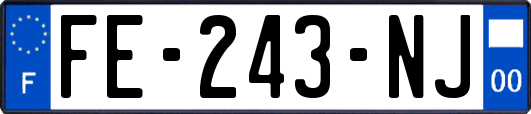 FE-243-NJ