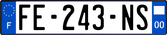 FE-243-NS