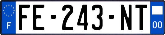 FE-243-NT