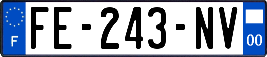 FE-243-NV