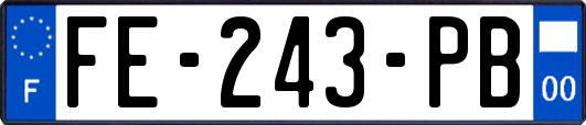 FE-243-PB
