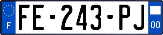 FE-243-PJ