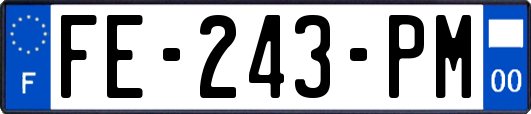 FE-243-PM