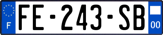 FE-243-SB