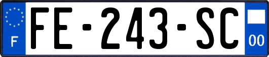 FE-243-SC