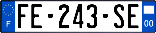 FE-243-SE